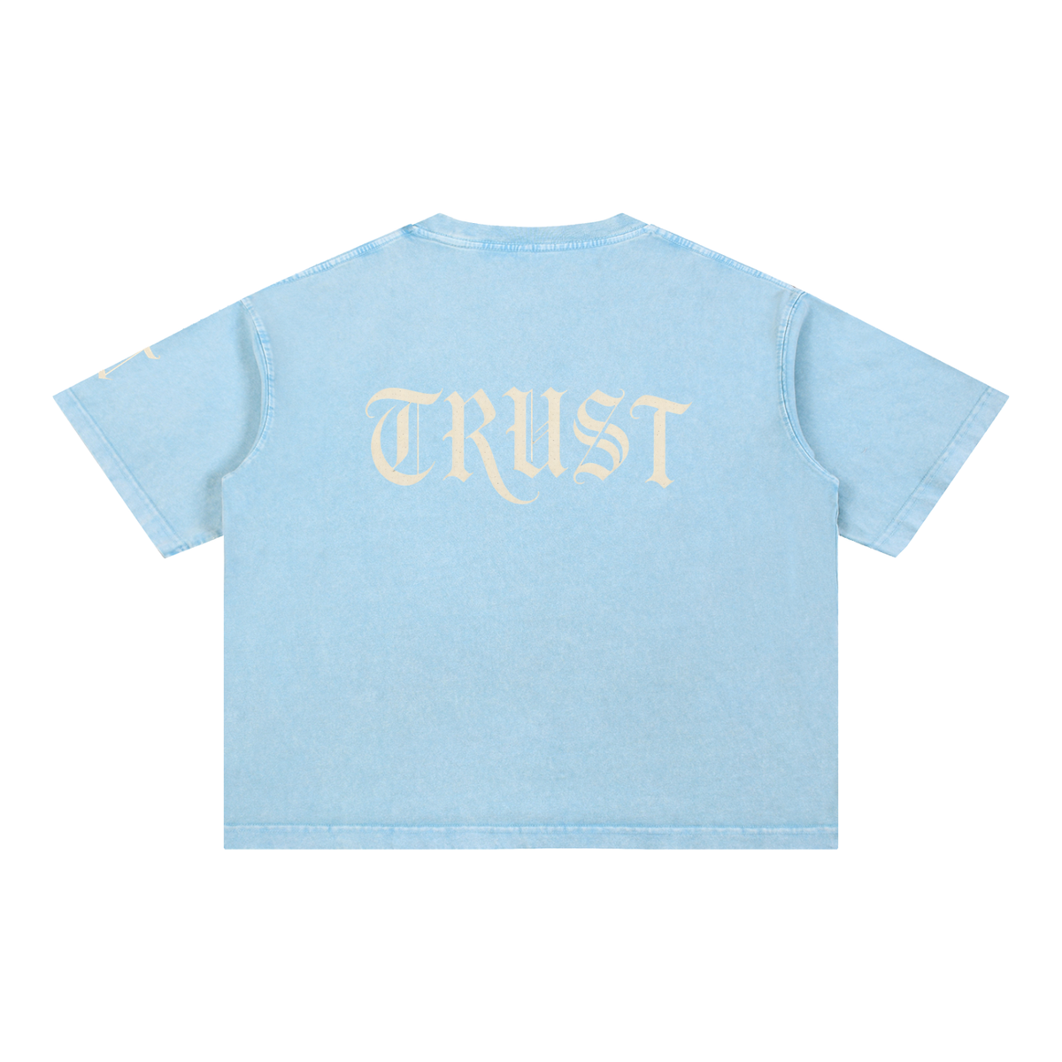 Trust Baggy T Shirt