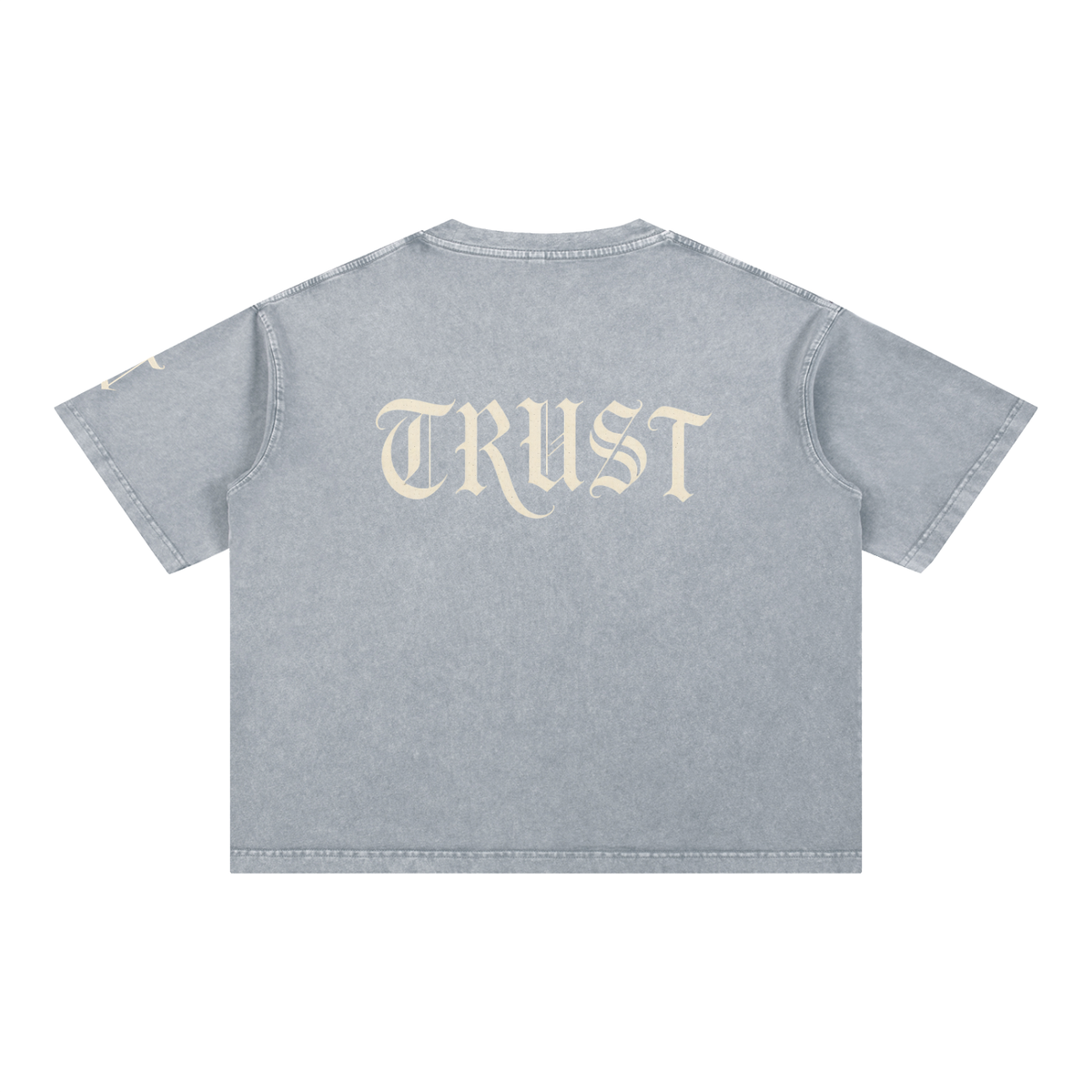Trust Baggy T Shirt